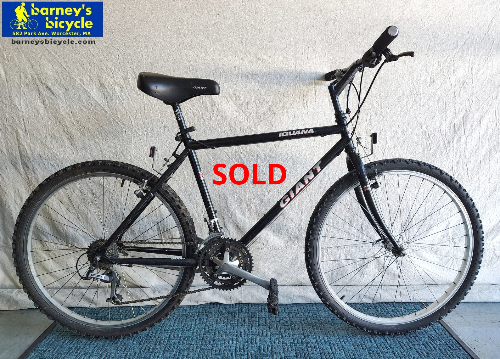 Giant Iguana
Frame Size: 19" LG / Rider Height: 5'9-6'0
Price: $329.00 (Professionally Tuned)
