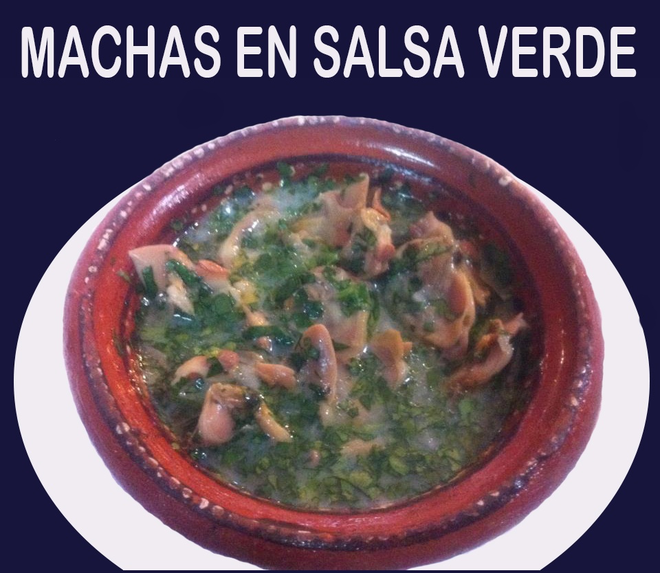 https://0201.nccdn.net/1_2/000/000/0b3/638/machas-en-salsa-verde-960x834.jpg