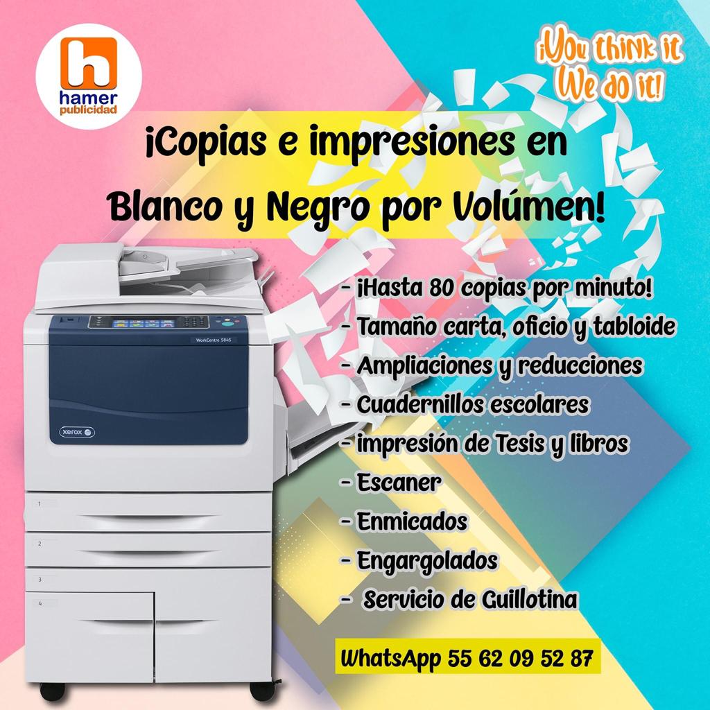 https://0201.nccdn.net/1_2/000/000/0b3/833/whatsapp-image-2020-08-17-at-15.56.39--2-.jpeg