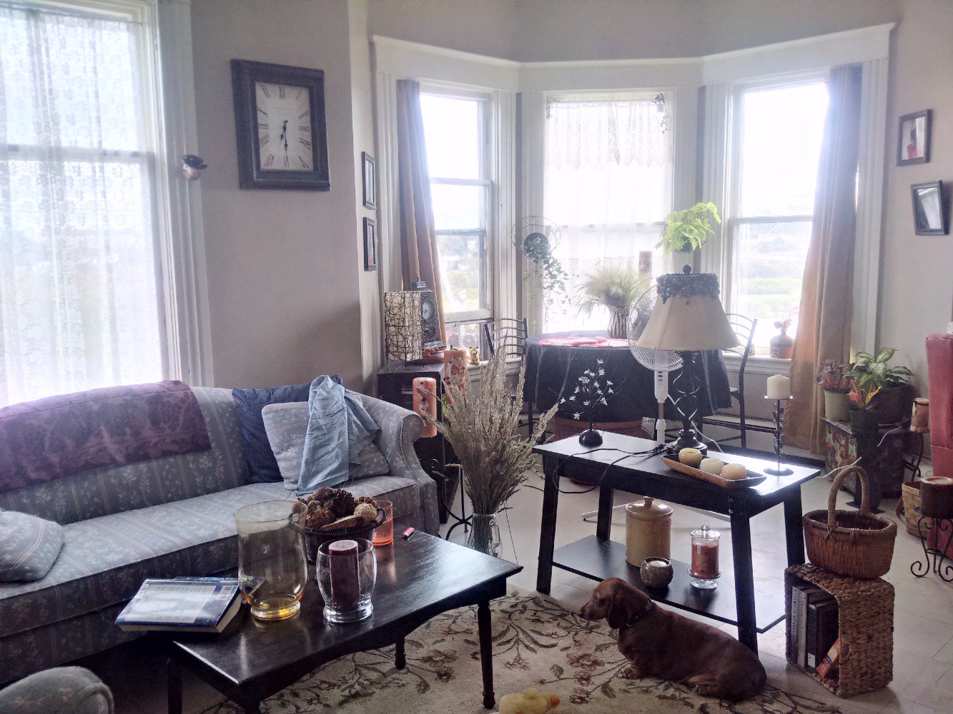 421 Douglas #3 Living Room