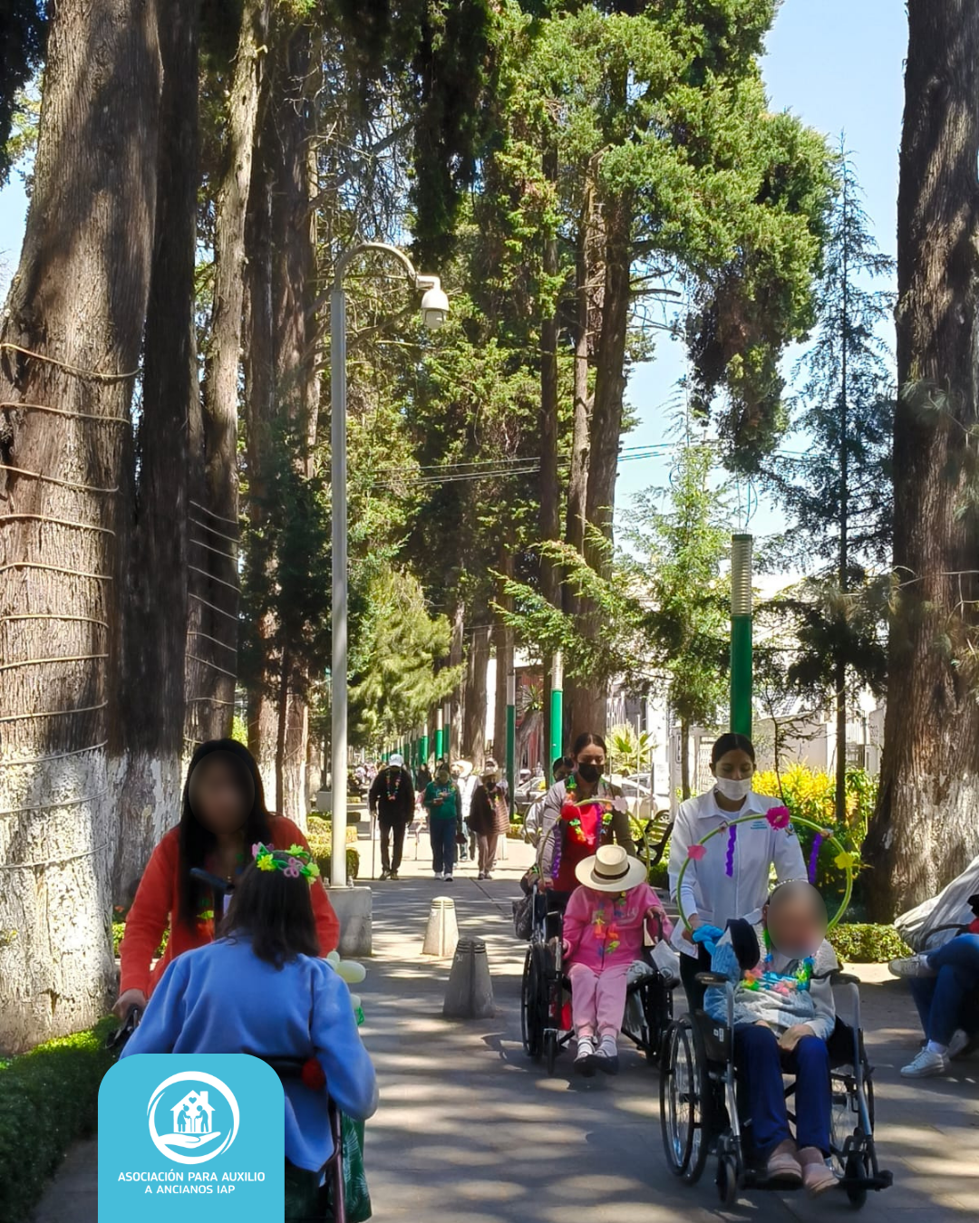 https://0201.nccdn.net/1_2/000/000/0b3/b8f/flores-1.png