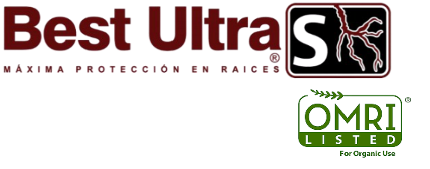 Best Ultra S