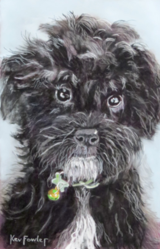 Lily - SOLD
