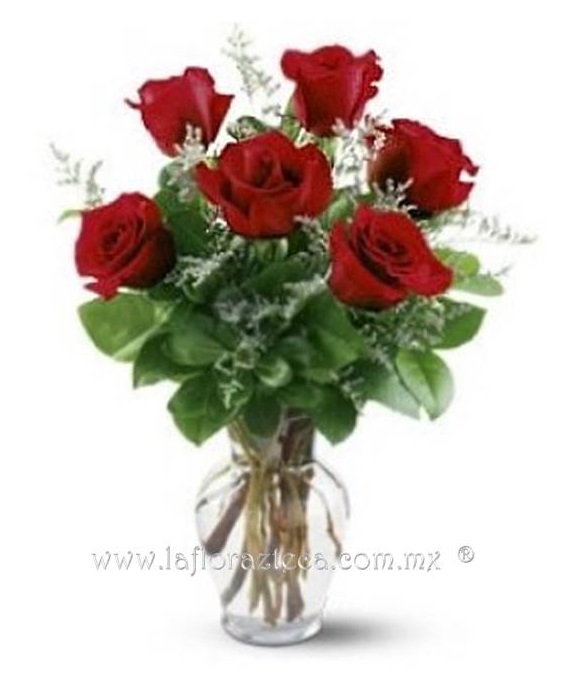 Mom - 101
Precio $480
