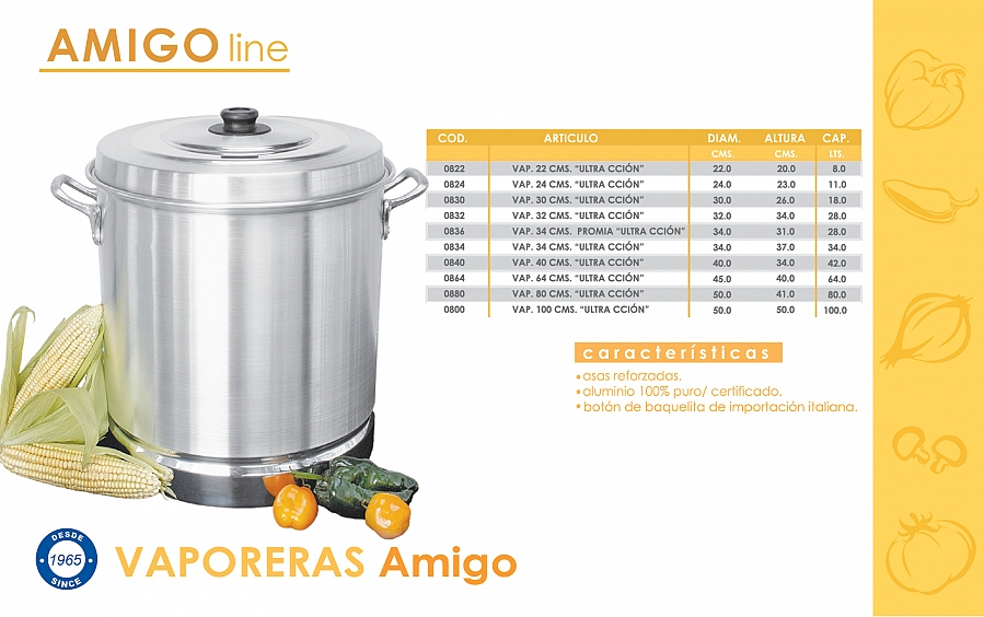 ENLACE LINEA AMIGO LINEA ECONOMICA