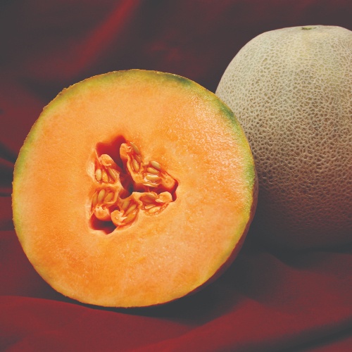 Melon Avatar