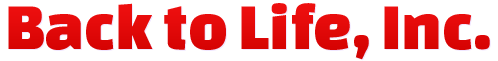backtolifeinc2.com