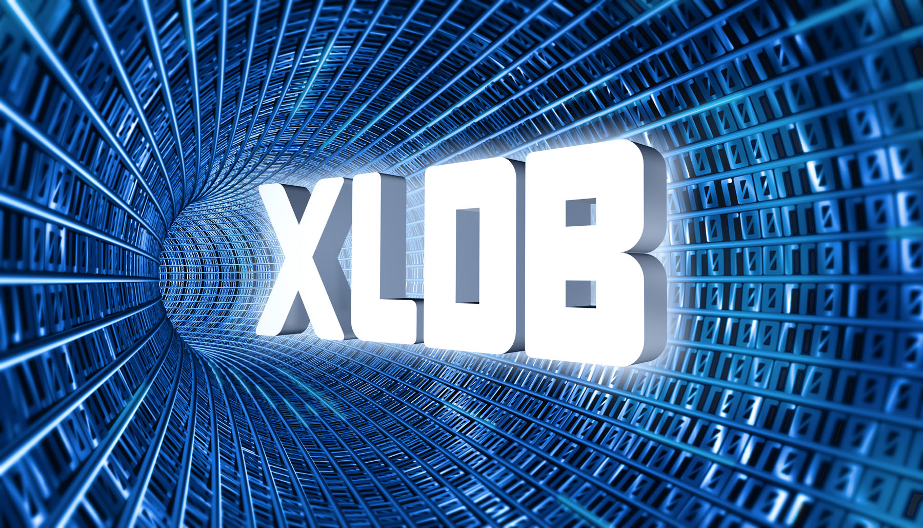 XLDB Branding