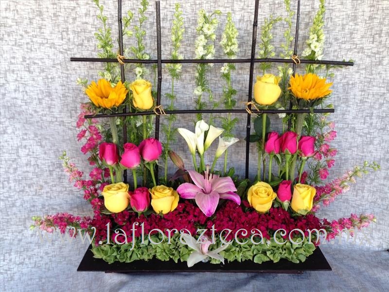 Mom-132
Precio  $ 1,640