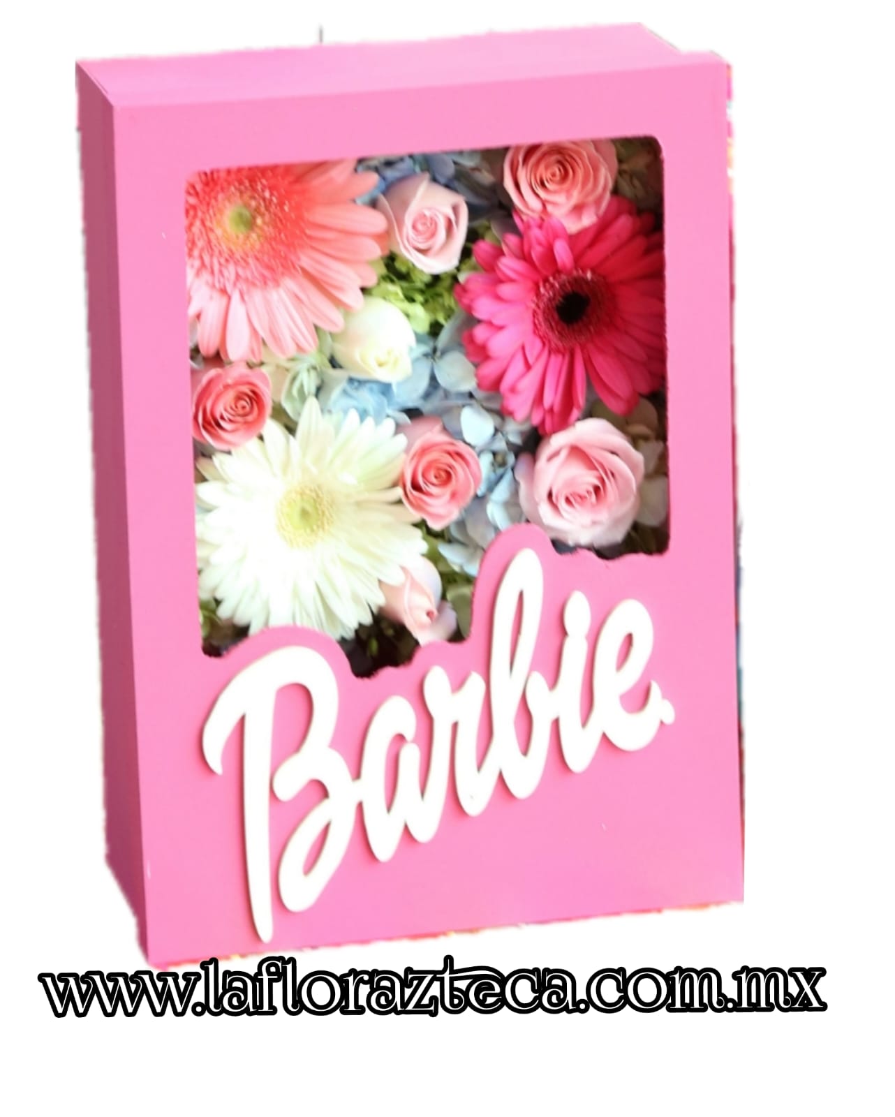 TOP -12  CAJA BARBIE
$1,600