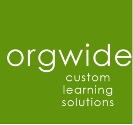 Orgwide Custom Learning Solutions