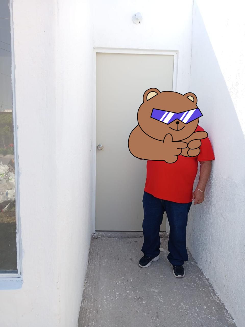 Sala moderna con sofá en L gris, plantas decorativas, mesa de centro de madera y luz natural.