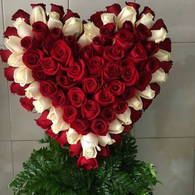 https://0201.nccdn.net/1_2/000/000/0b5/f42/IMG-20190506-WA0013-655x655.jpg