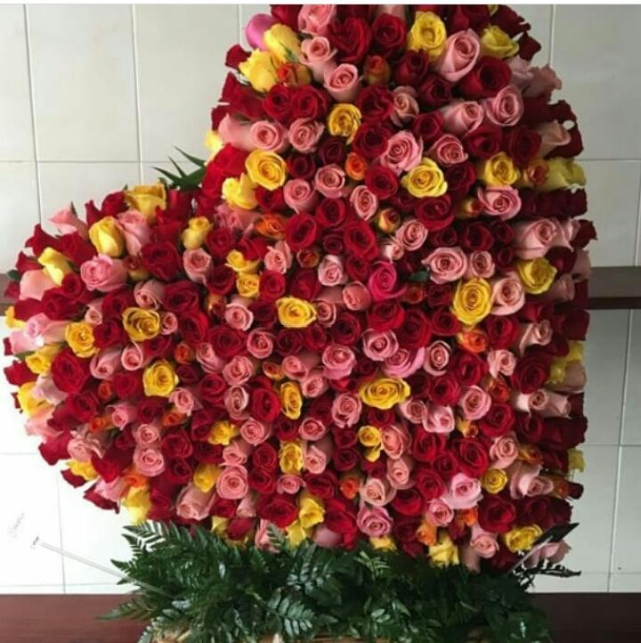 https://0201.nccdn.net/1_2/000/000/0b5/ff2/IMG-20190430-WA0128.jpg