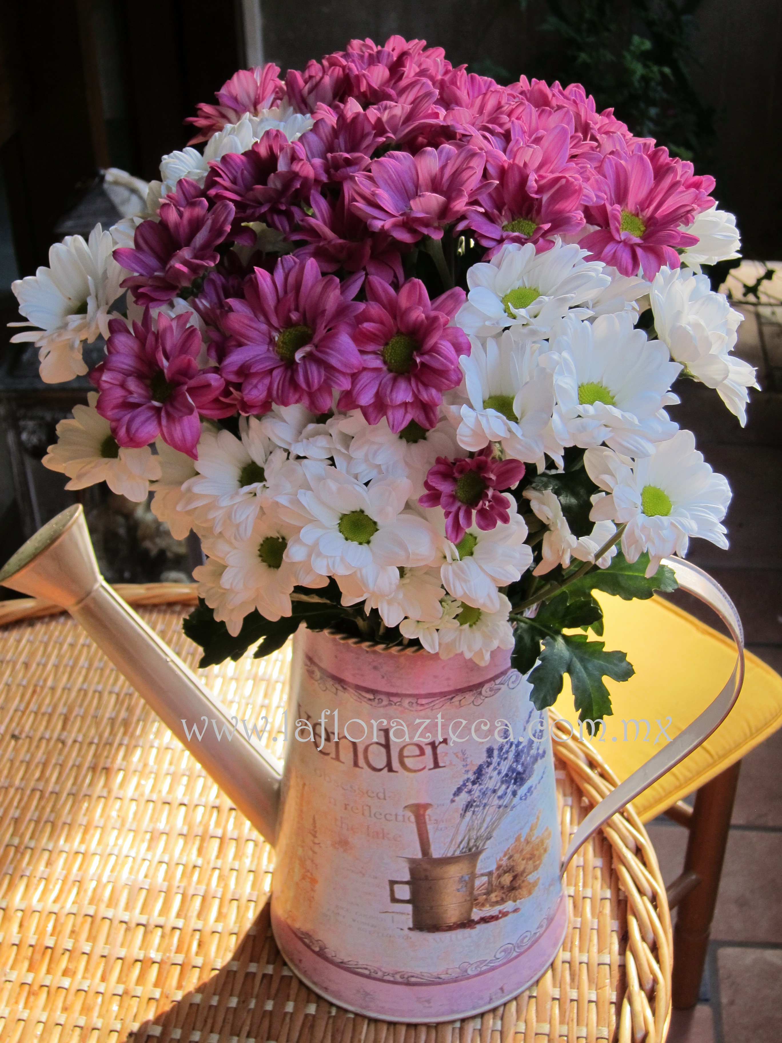 MD - 142  $780
Regadera estilo shabby chic o vintage de margaritas fiushia y blancas