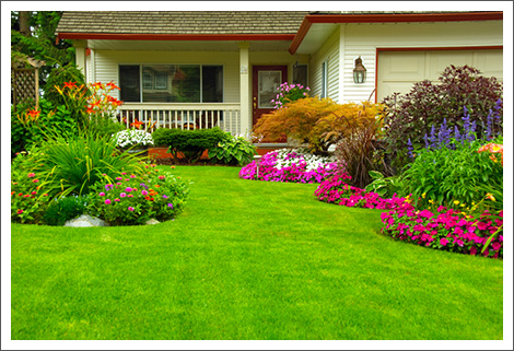 Manicured house and garden||||