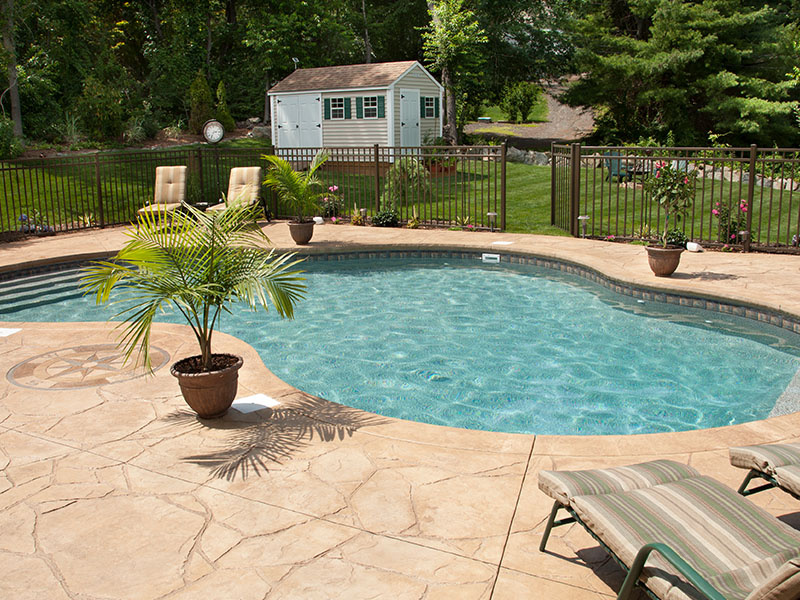 Lush backyard swimming pool and patio space