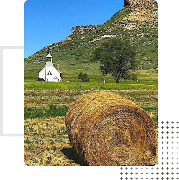 A roll of hay on a field