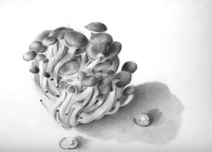 hon-shimeji mushrooms (Graphite) 9" x 12"