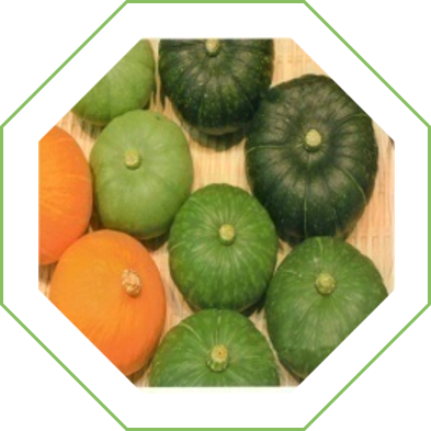 Calabaza Mini Kabocha