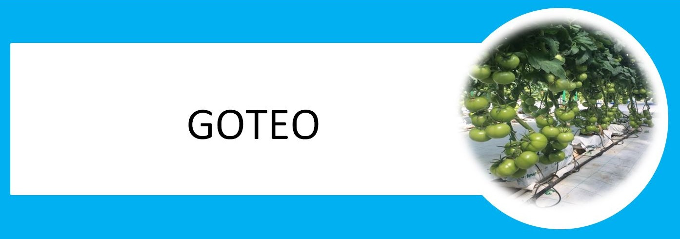 https://0201.nccdn.net/1_2/000/000/0b7/a9c/GOTEO-1394x490.jpg