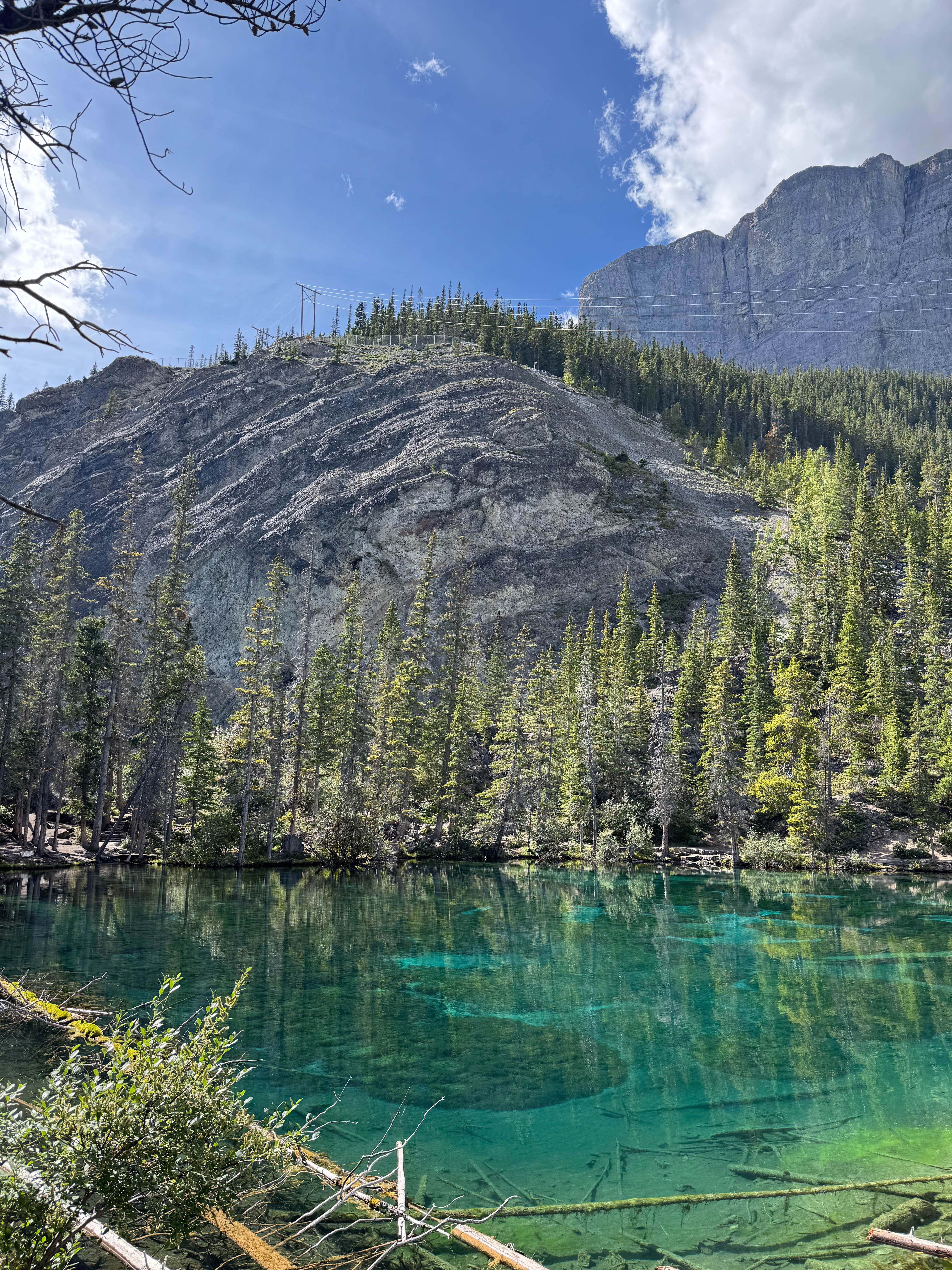 https://0201.nccdn.net/1_2/000/000/0b7/ad6/calgary-order-285.jpg