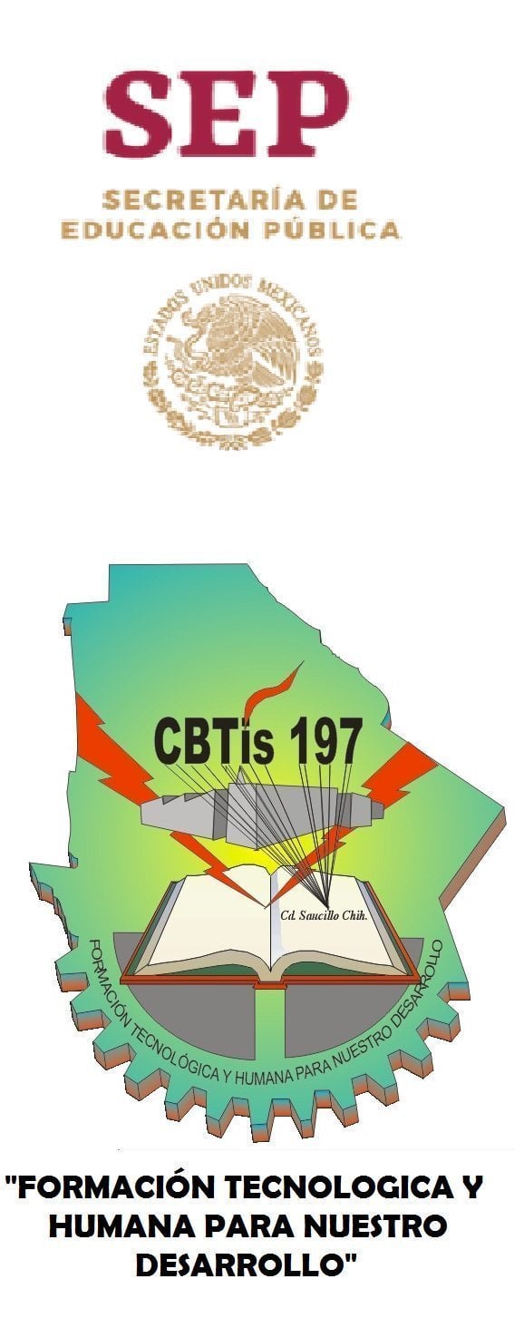  CBTIS 197
