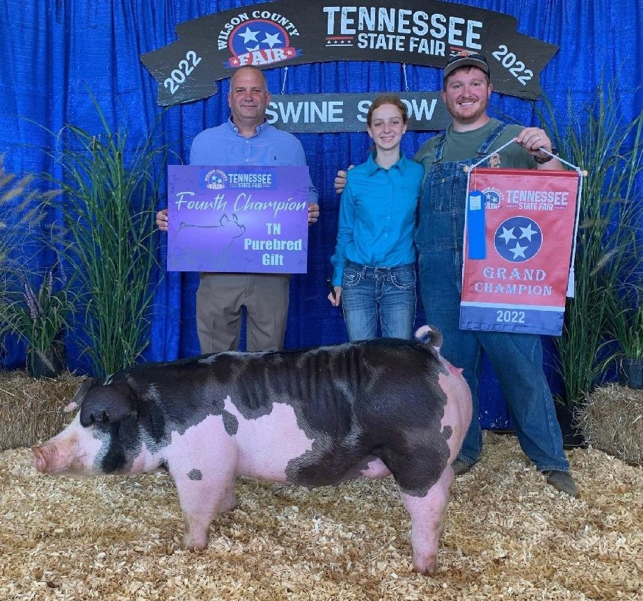 Jacey Bowers
2022 Tennessee State Fair
Champion Spot Gilt Open Show
Champion Spot Gilt 
Tennessee Bred
4th Overall Tennessee Bred Gilt