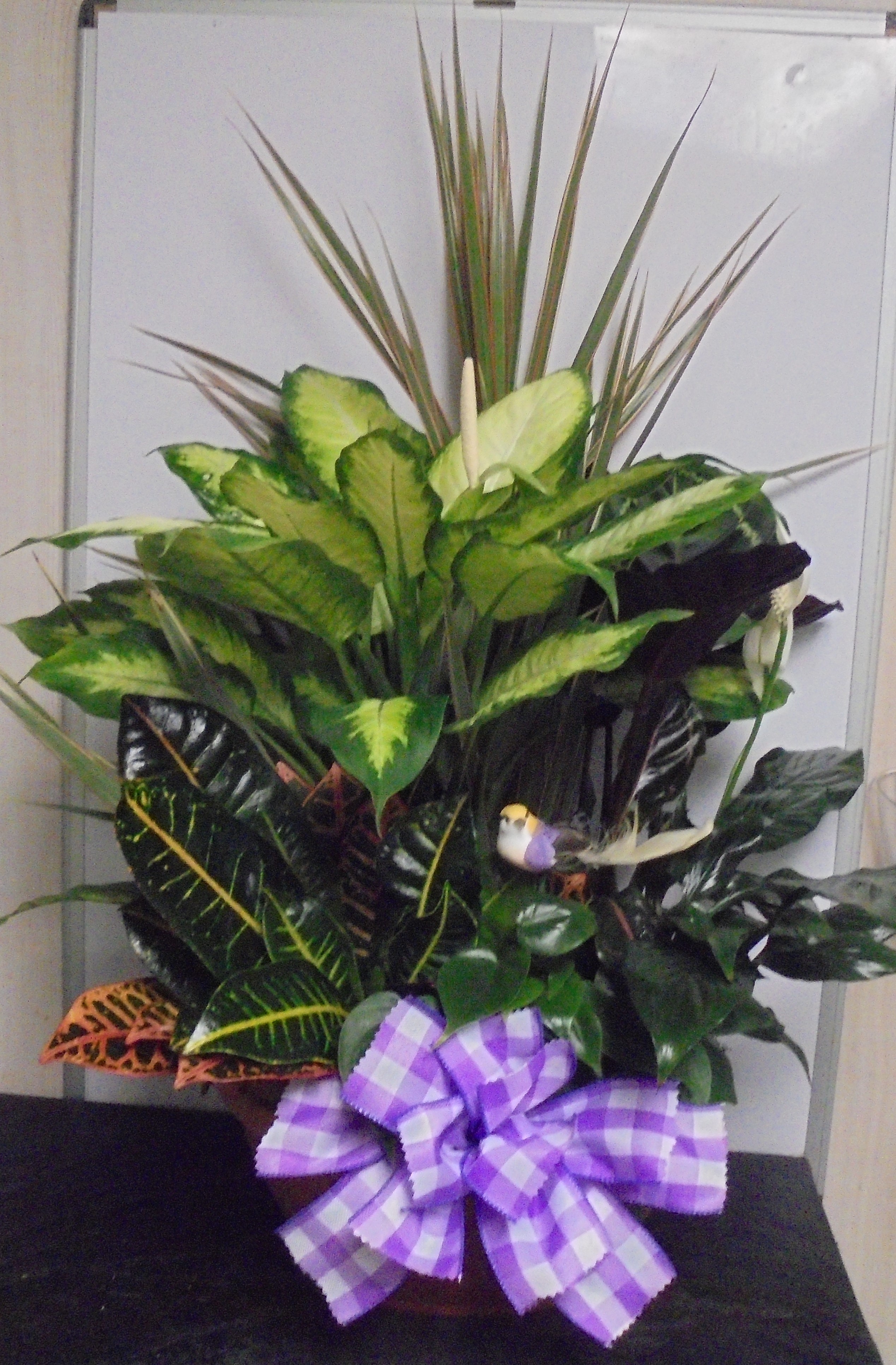 (9A)  Dish-Garden Plant
With Bird
$100.00