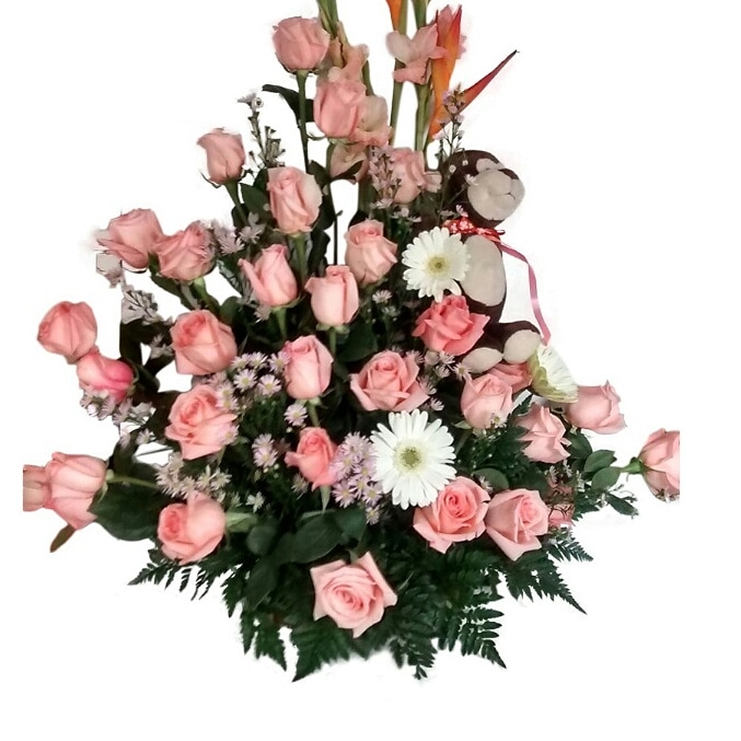 https://0201.nccdn.net/1_2/000/000/0b8/451/IMG-20190430-WA0089.jpg