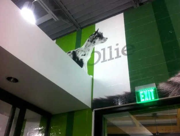 OLLIE
3M Textured Vinyls