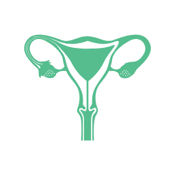 Ginecología y Obstetricia