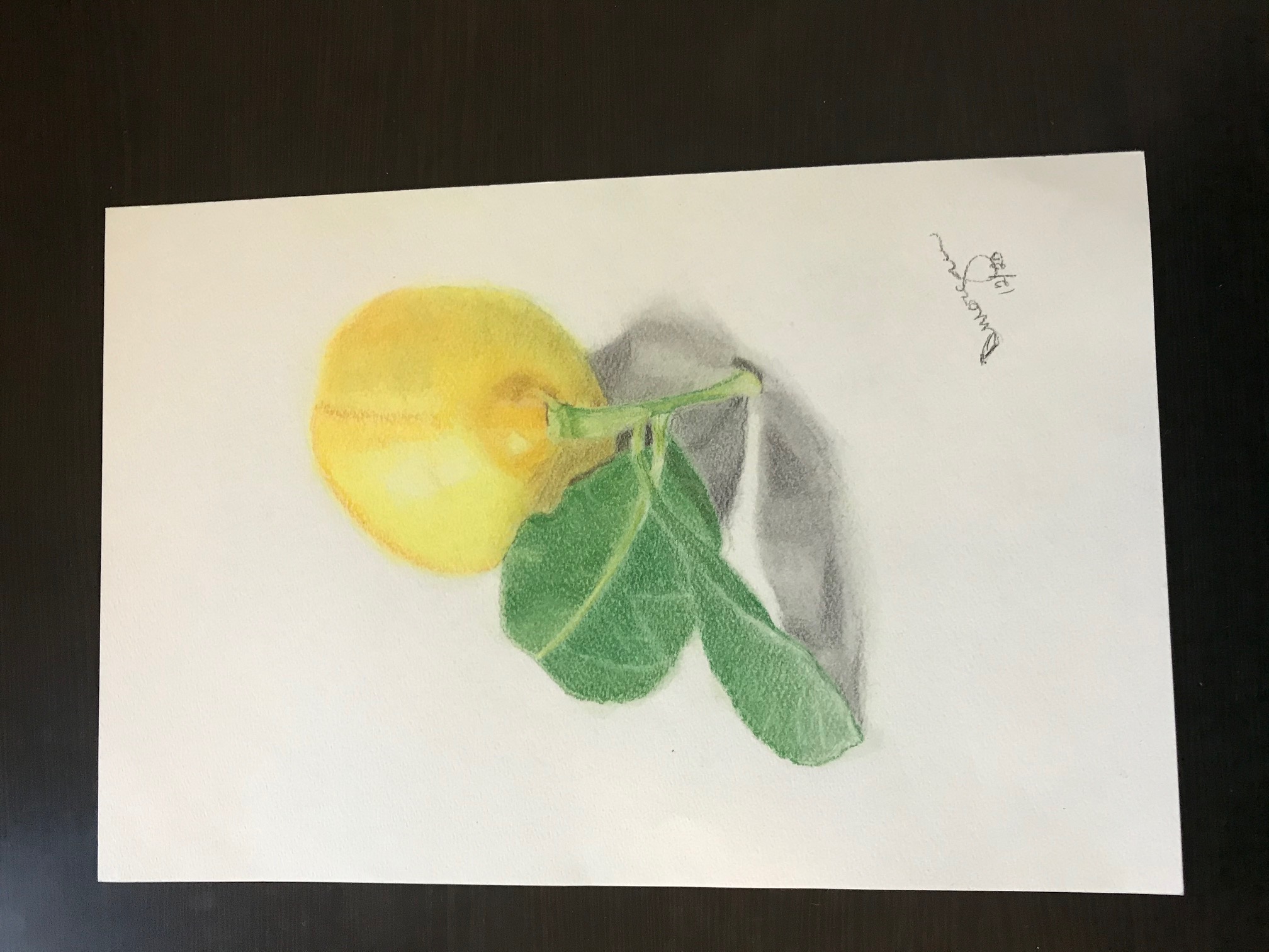 Lemon in Pastel Pencil