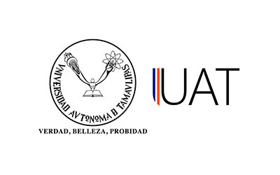 Grúas y Maniobras Precisas - UAT