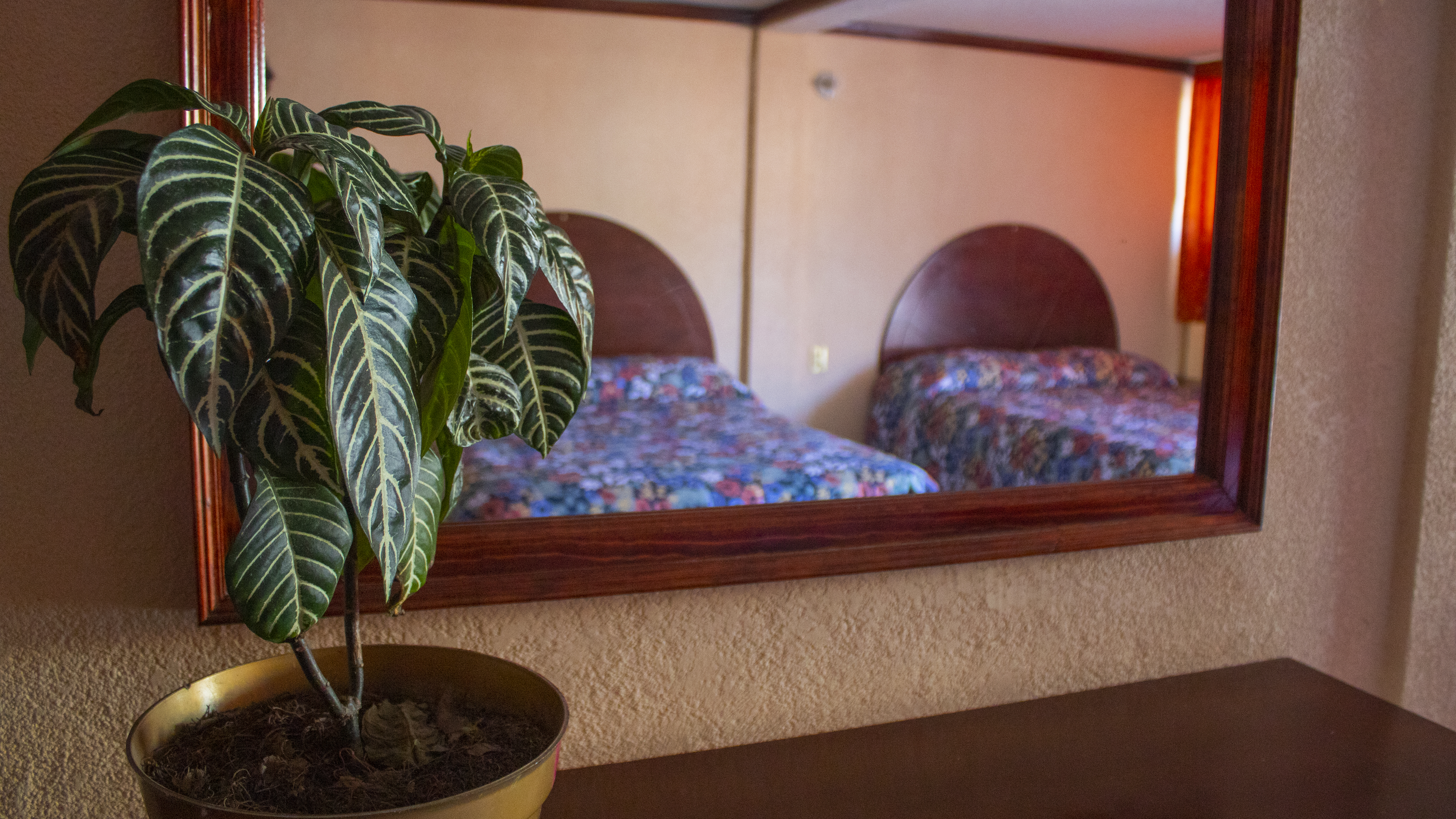 Las habitaciones que se pueden encontrar en el hotel
