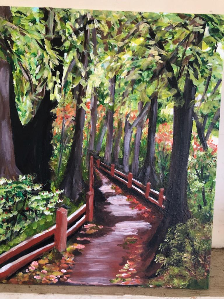 Big Basin, CA  Redwoods