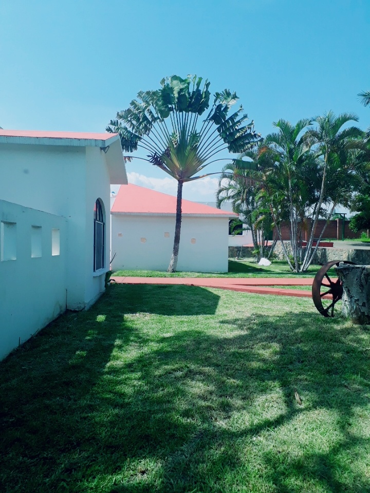 MIDRASH Alcaraces Municipio de Cuauhtémoc Colima