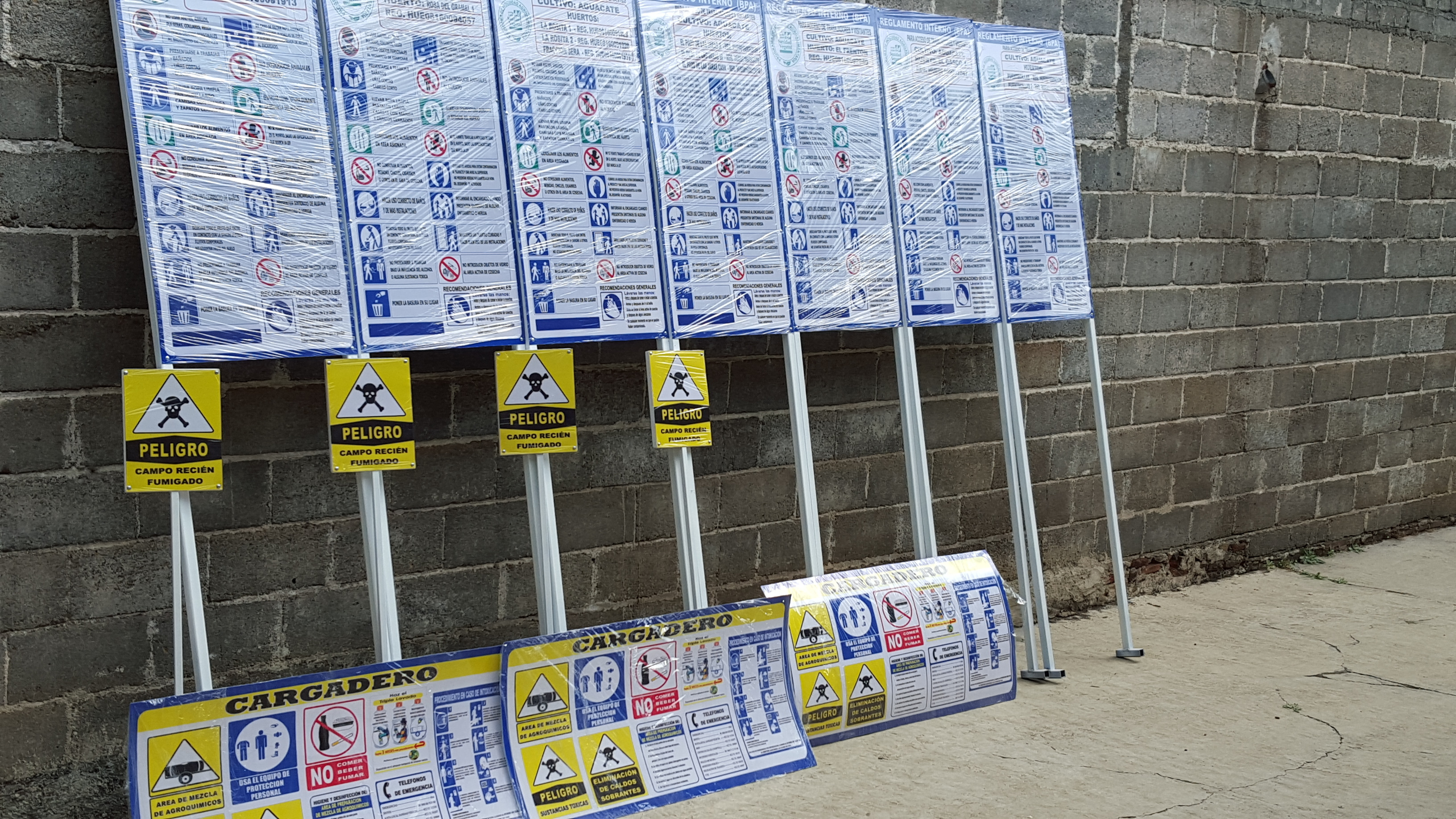 Elegant woman walking near a pool