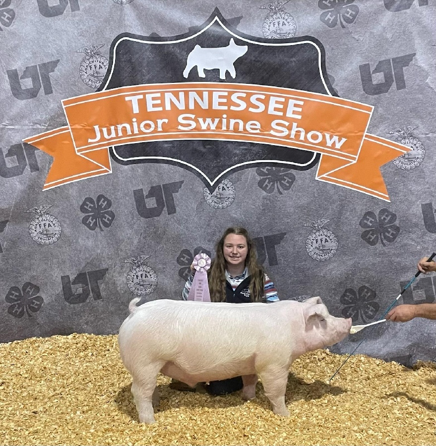Abigail Henry
2024 TN State Swine Show
Reserve Champion TN Bred 
Chester Barrow