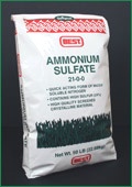 Amonium Sulfate