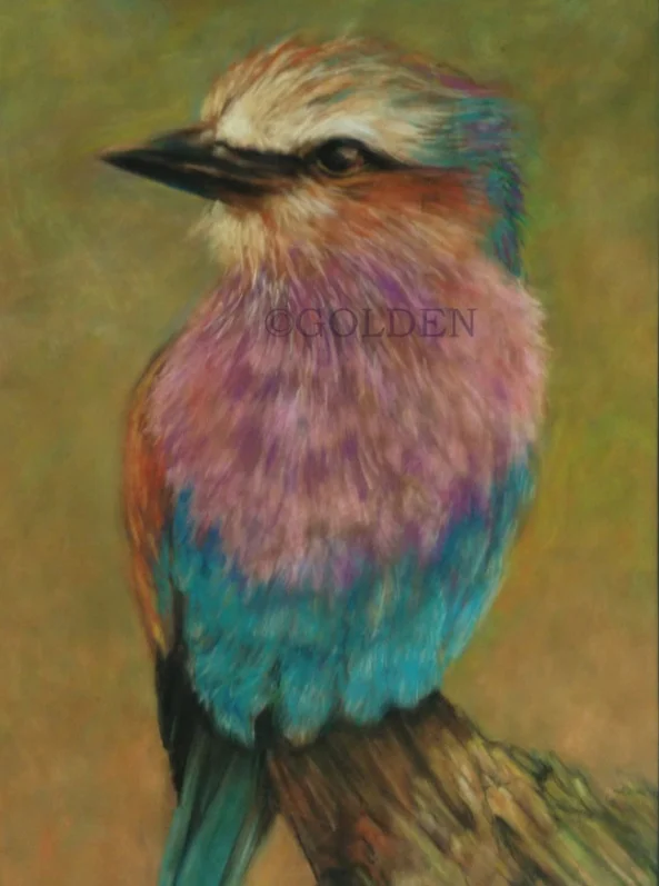 bird
