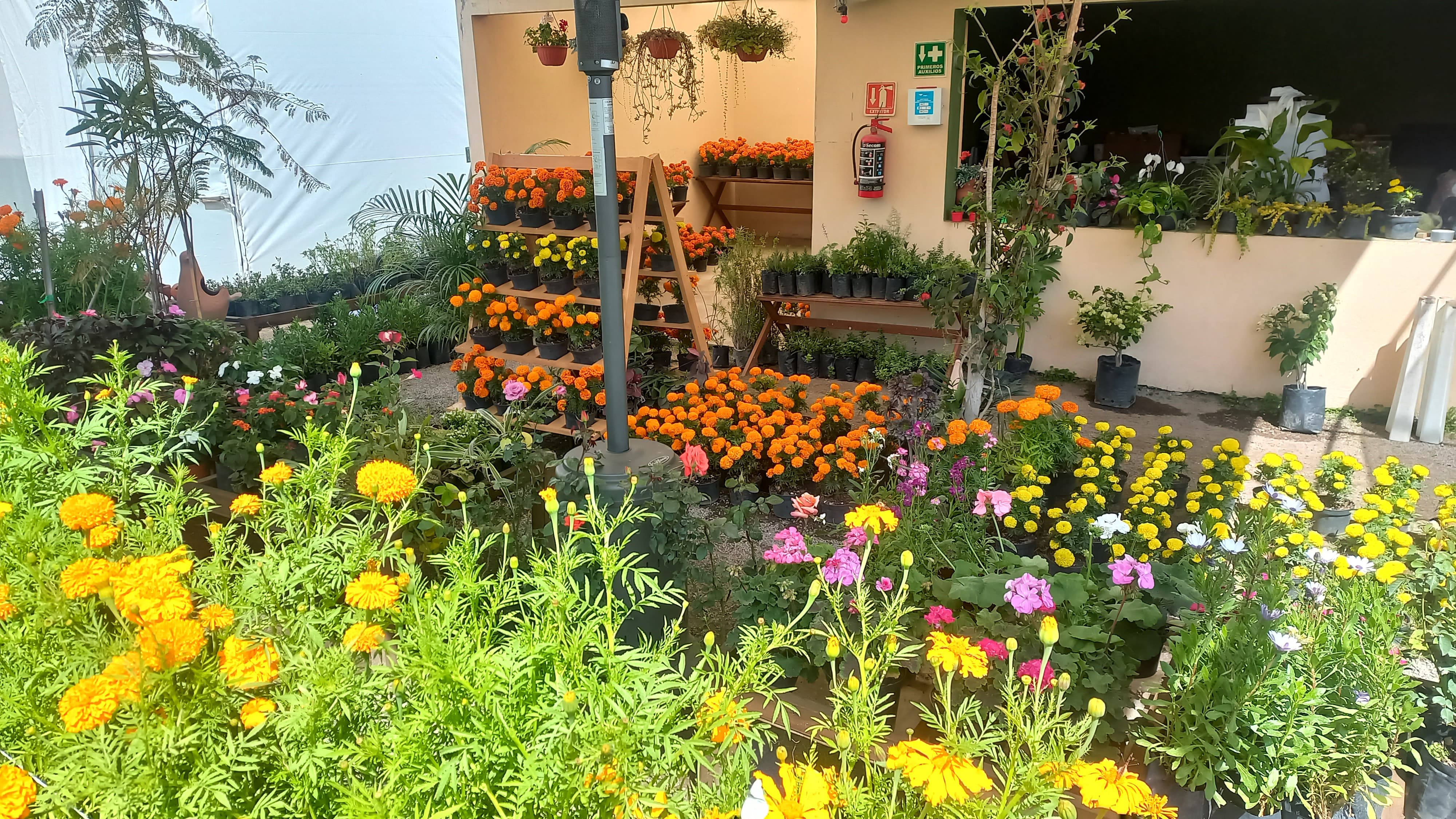 (##AI##(Background.image3.alt)##AI##)