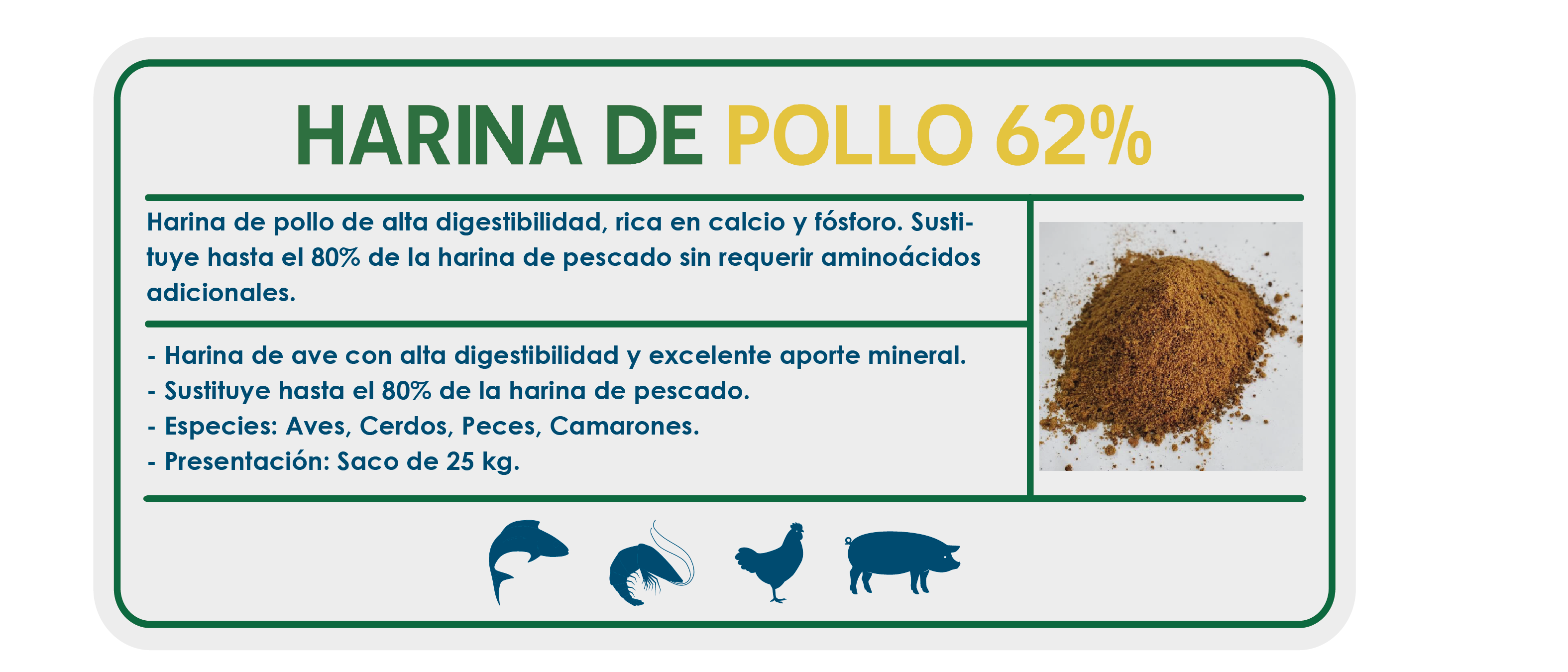 https://0201.nccdn.net/1_2/000/000/0ba/5c6/ficha_ecommerce-04.png