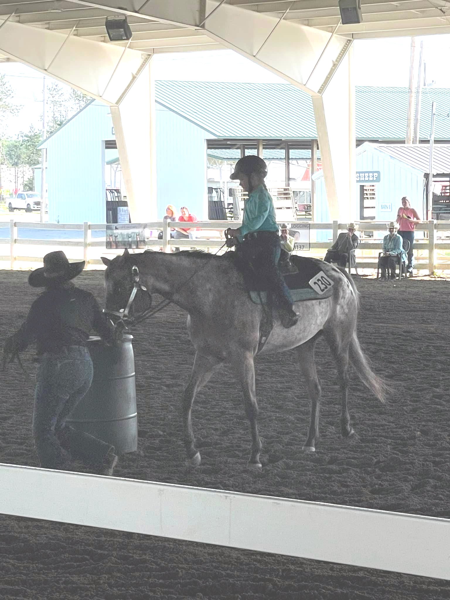 Leadliners at the 2024 MeApHC show.
