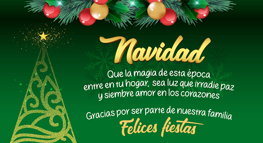 https://0201.nccdn.net/1_2/000/000/0ba/754/banner-navidad-a.jpg