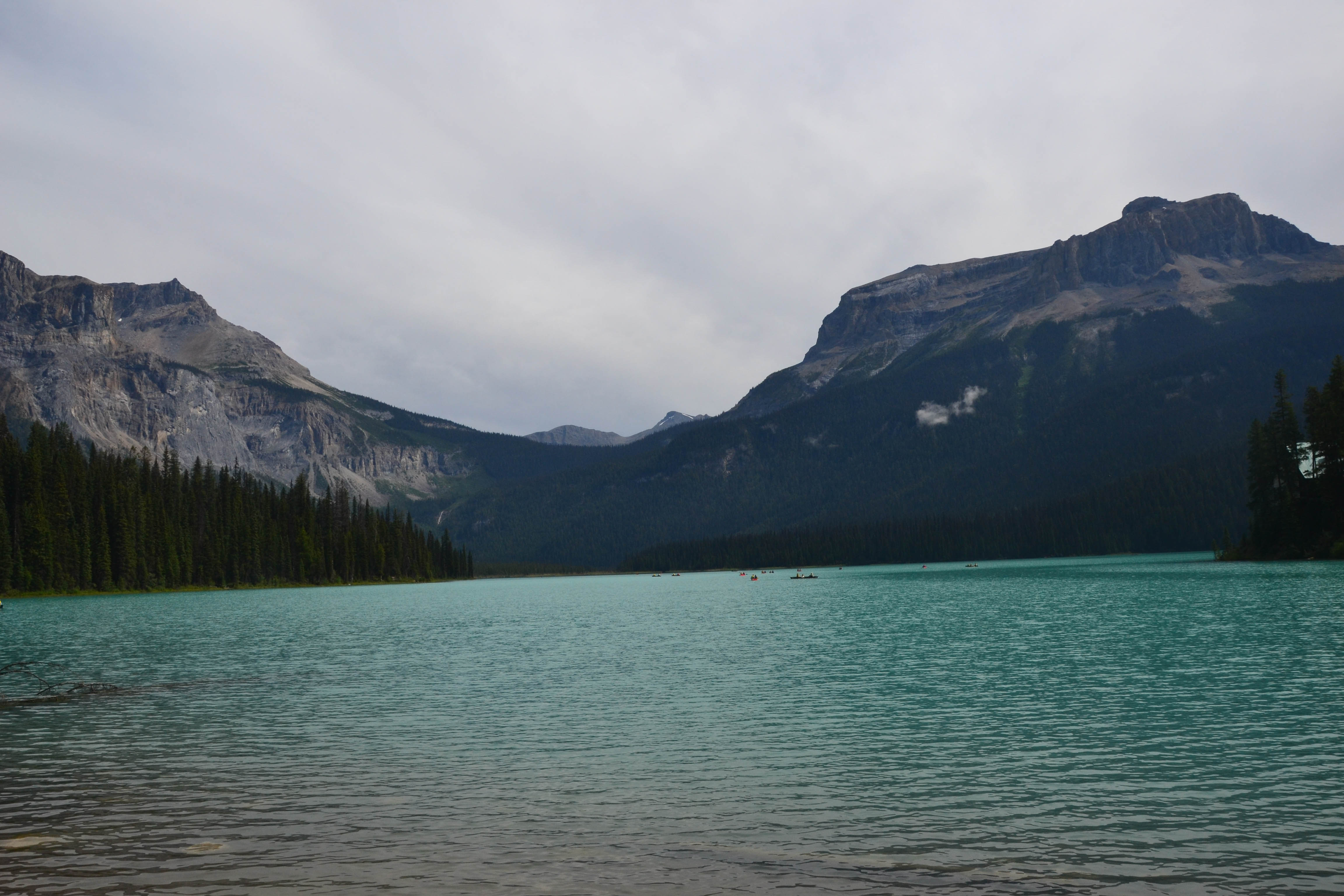https://0201.nccdn.net/1_2/000/000/0ba/940/calgary-order-129.jpg