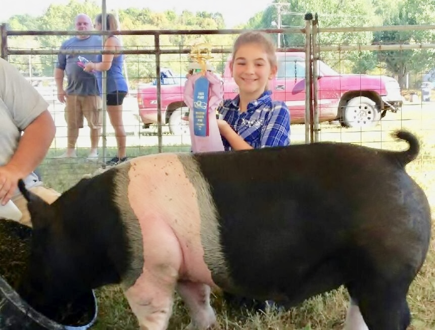 Ben Hayes
Shown by: Johnna Reddix 
2019 Houston County Fair
Reserve Champion Market Hog