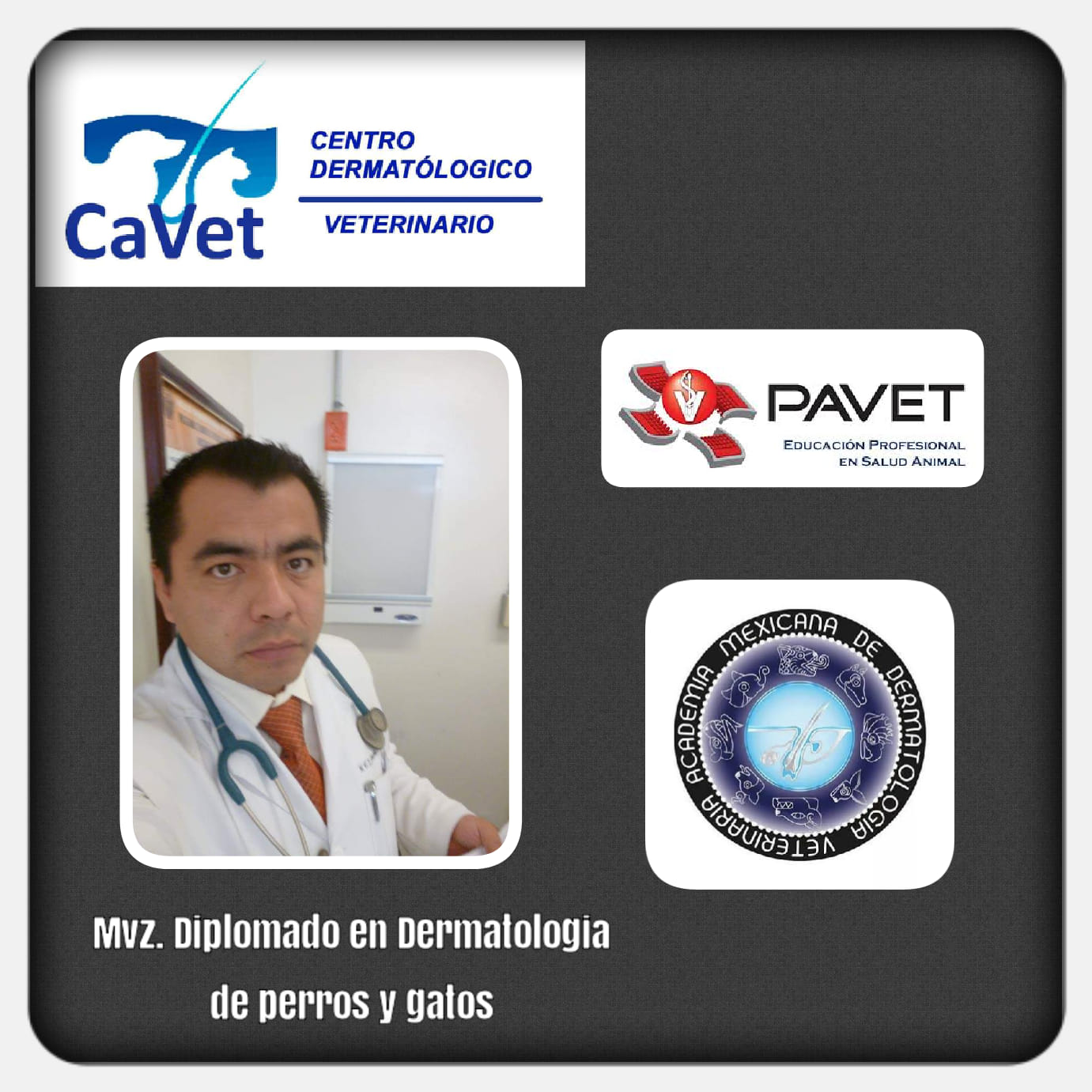 CAVET - Veterinario