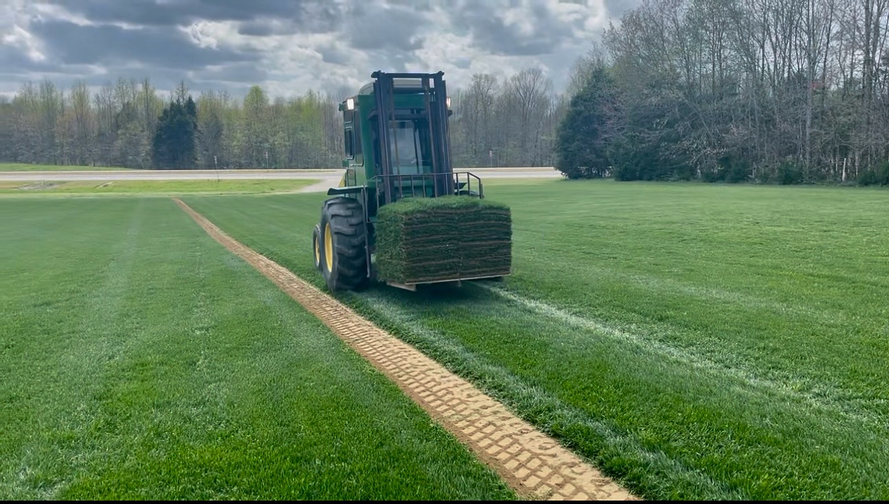 Group of healthcare professionals discussing in a modern office setting. Group of healthcare professionals discussing in a modern office setting.