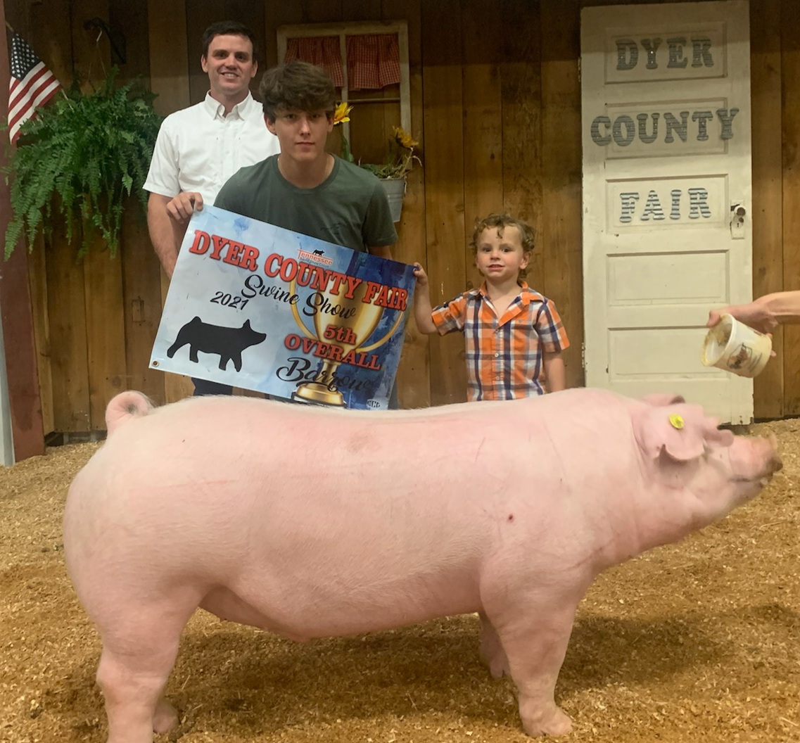 Judd Crownover (Cash Stanford)
2021 Dyer County Fair
Reserve Champion Chester White Barrow
5th Overall Barrow